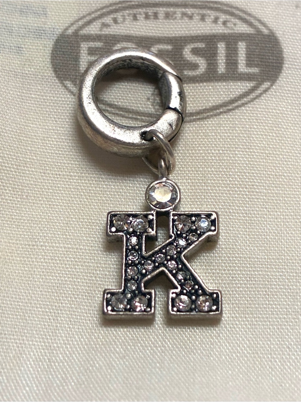 Fossil Charm